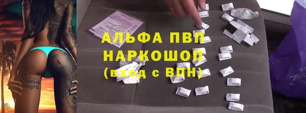 стафф Покачи