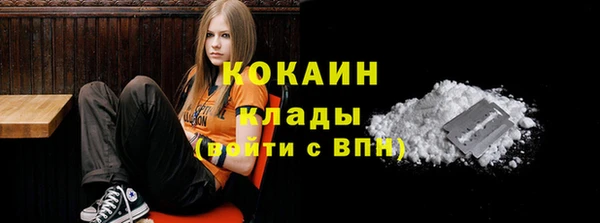 a pvp Белокуриха
