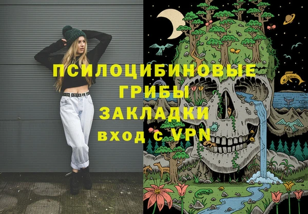 a pvp Белокуриха