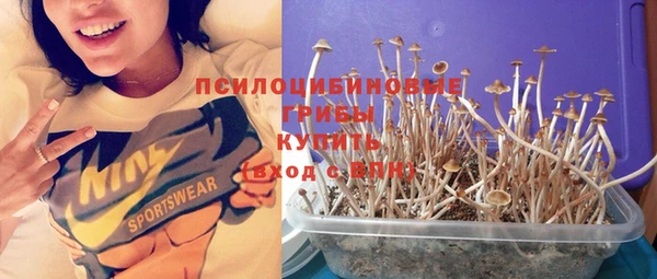 спиды Беломорск