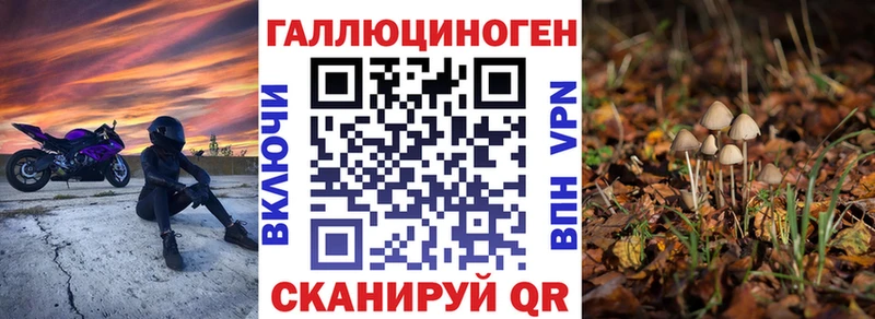 Псилоцибиновые грибы ЛСД  цена   Свободный 